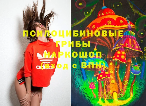 МДПВ Заводоуковск