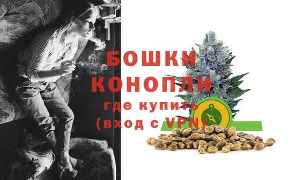 сатива Зеленодольск