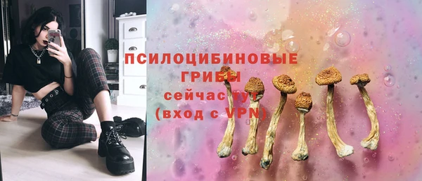 Альфа ПВП Устюжна