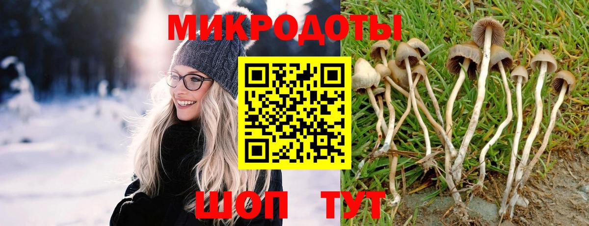 Псилоцибиновые грибы мицелий  Псилоцибиновые грибы GOLDEN TEACHER  Вход с VPN  Карталы 
